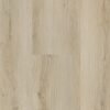 nf-568-006