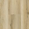nf-568-007