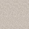 t5-snowfall-11041
